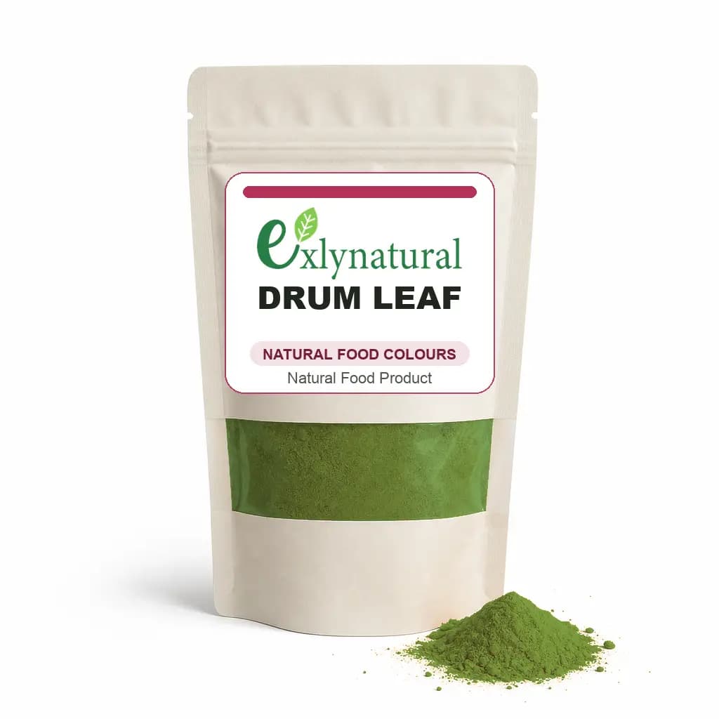 Drum Leaf by Exlynatural