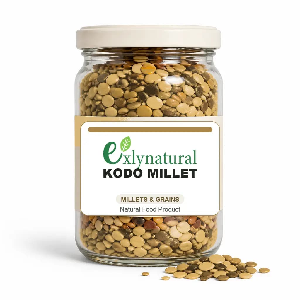 Kodo Millet by Exlynatural