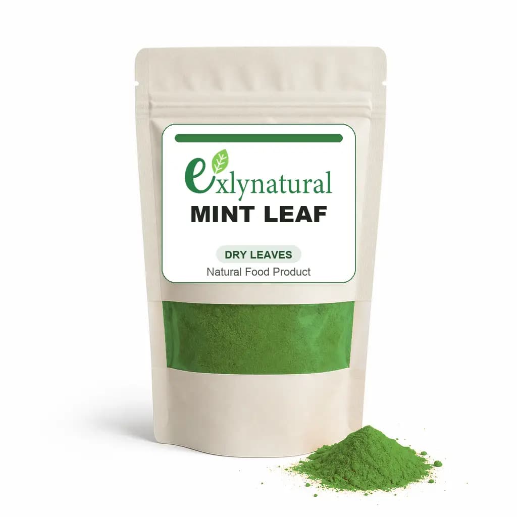 Mint Leaf by Exlynatural