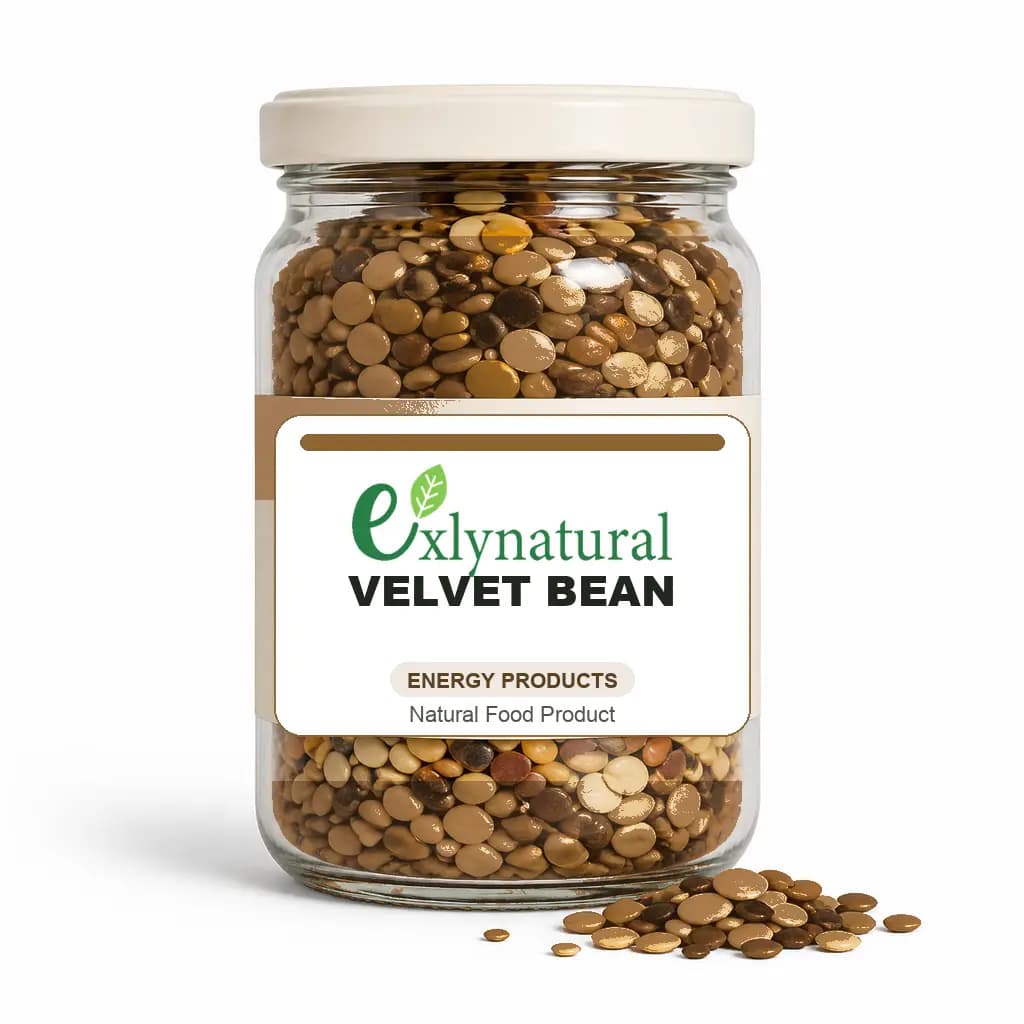 Velvet Bean by Exlynatural
